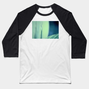 Furled leaf Baseball T-Shirt